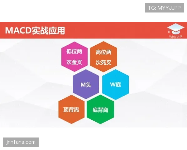 篮球防守站位规则：新手必看的基本要领与实战应用